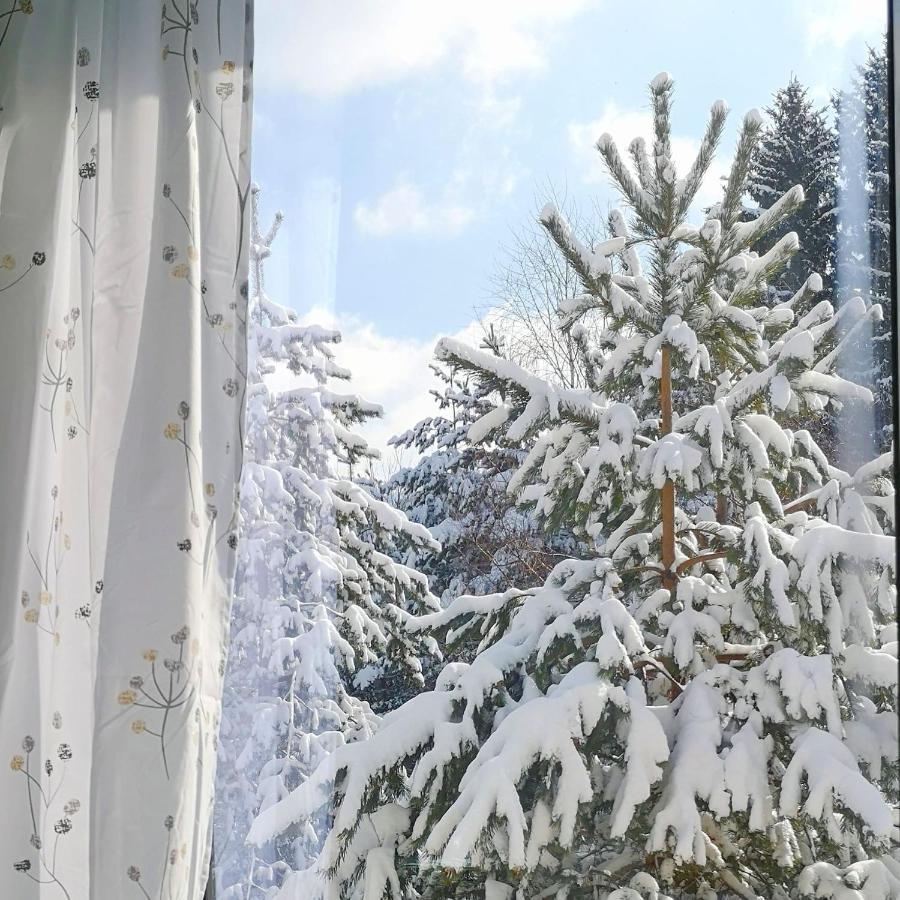 Hiona Apartment Kopaonik Exterior foto